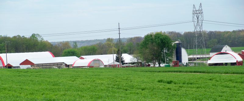 A-Canon-dairy-3.jpg